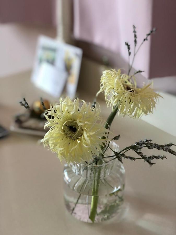 卡布-花藝小民宿 Taitung Floral B&B Zewnętrze zdjęcie
